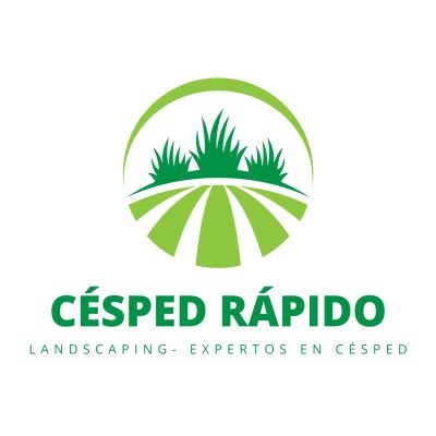 Césped rápido